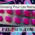 Ginseng For Kidney 09